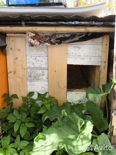 Будка для собаки утепленная