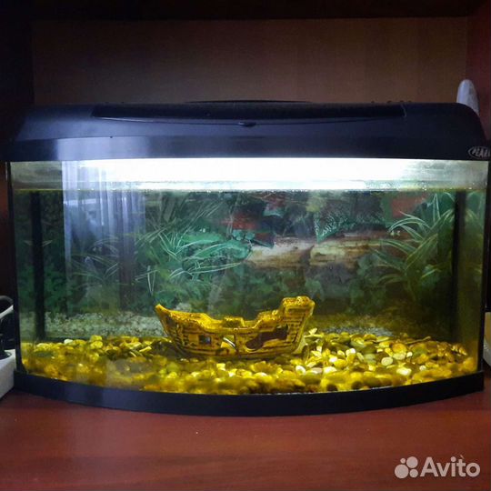 Аквариум
