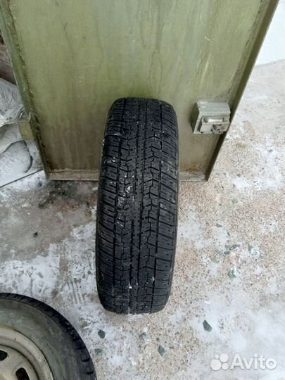 Viatti Strada Asimmetrico 175/75 R14