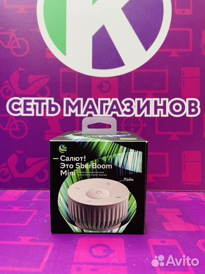 Sber Boom mini