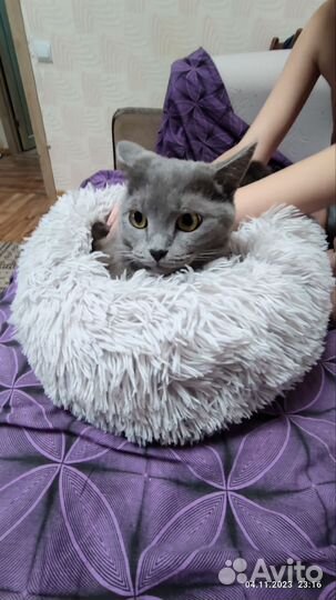 Лежанка для кошек и собак