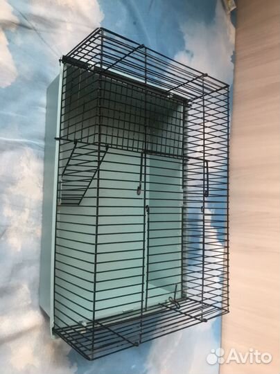 Клетка и всё необходимое для неё