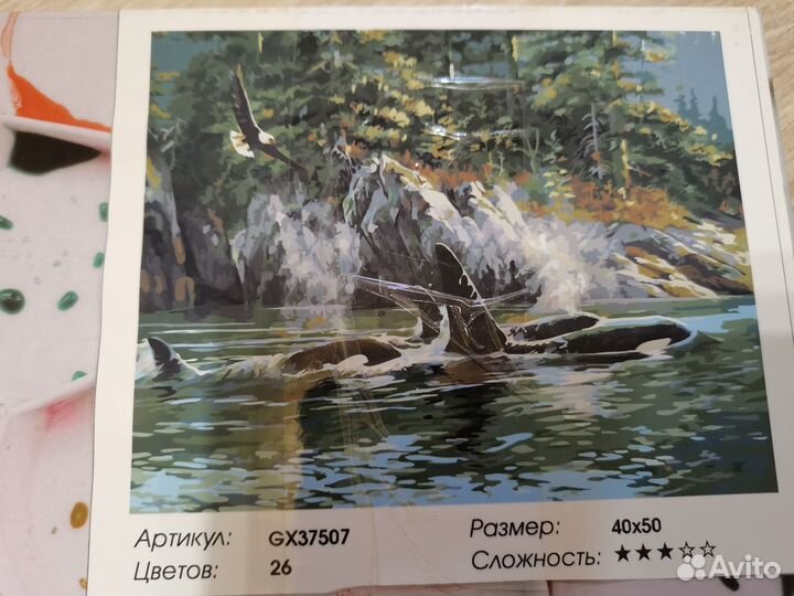 Картины по номерам касатки