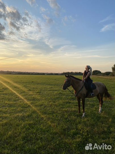 Верховая езда/конные прогулки/обучение/фотосессии