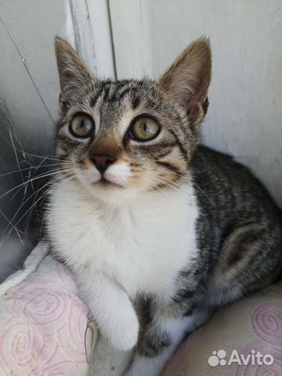 Девочка без имени