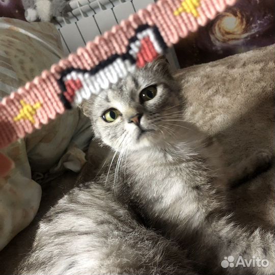 Браслеты фенечки