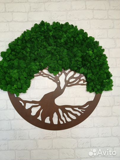 Мох стабилизированный оптом и в розницу