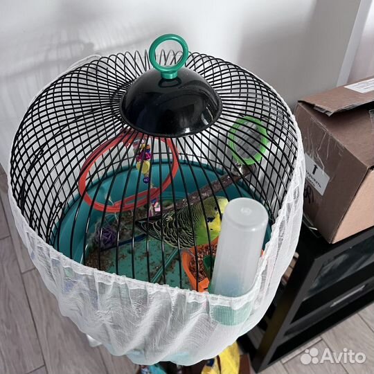 Клетка для попугая бу