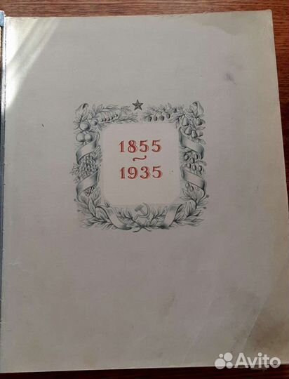 И.В. Мичурин 