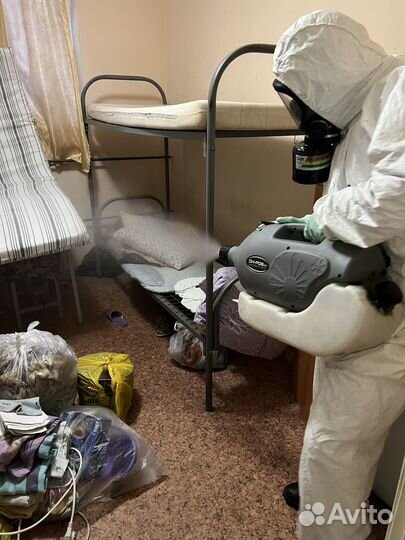 Уничтожение клопов, тараканов, крыс