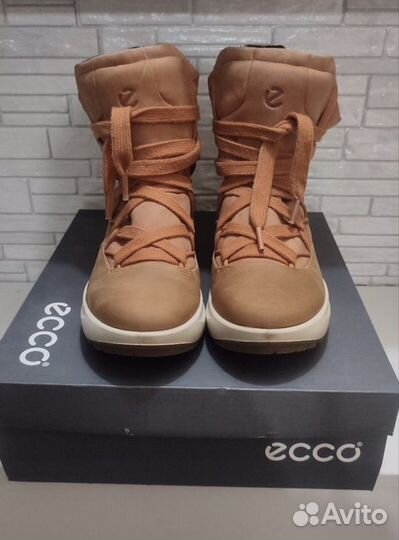 Зимние ботинки ecco 38