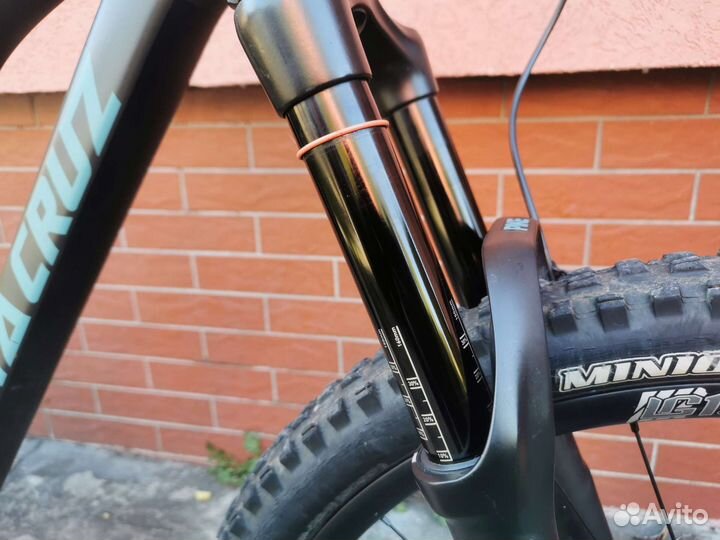 Santa cruz bronson C