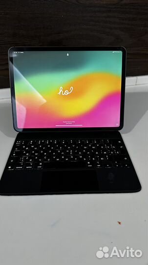 iPad Pro (11-inch) wifi+cellula