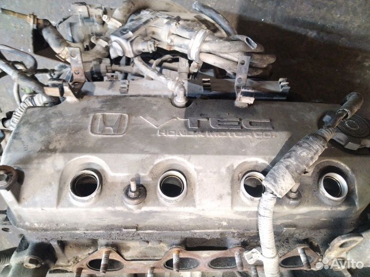 Двигатель Honda Accord CH6 F18B2 2001