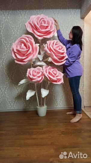 Гигантские большие цветы ростовые огромные розы