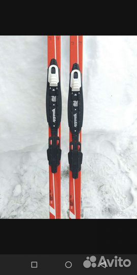 Беговые лыжи