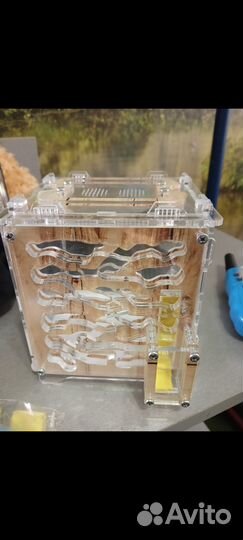 Формикарий для муравьев