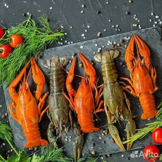 Раки Живые, Вареные