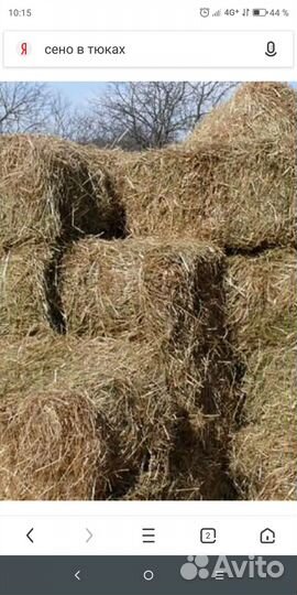 Сено солома в тюках