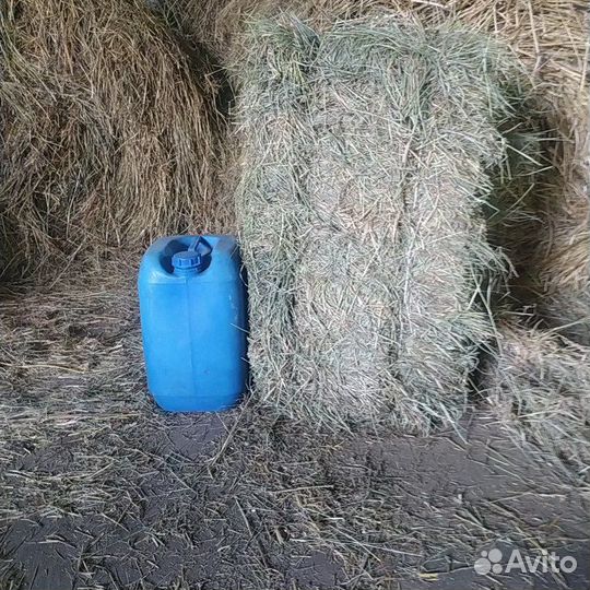 Продам сено в тюках