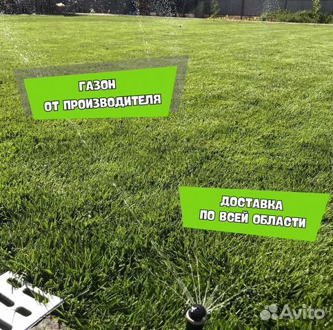 Газон. Рулонный газон купить в Сергиевом Посаде | Товары для дома и ...
