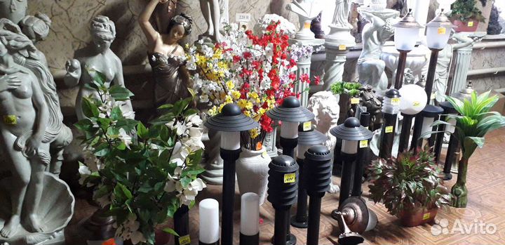 Деревья, бонсай, цветы