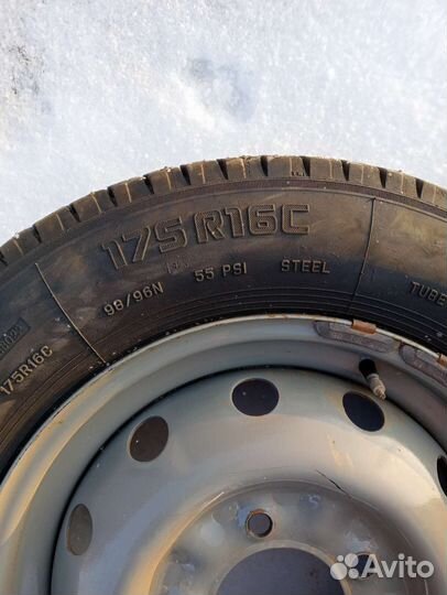 Forward Professional 218 175/75 R16