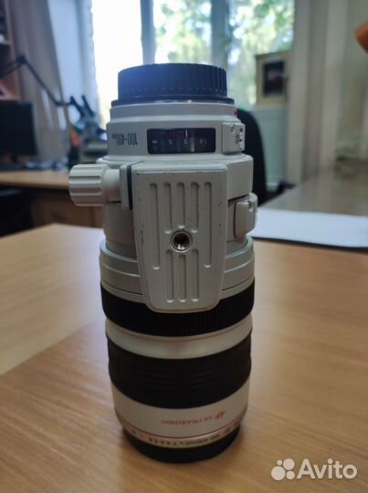 Canon EF 100-400mm f/4.5-5.6L IS USM