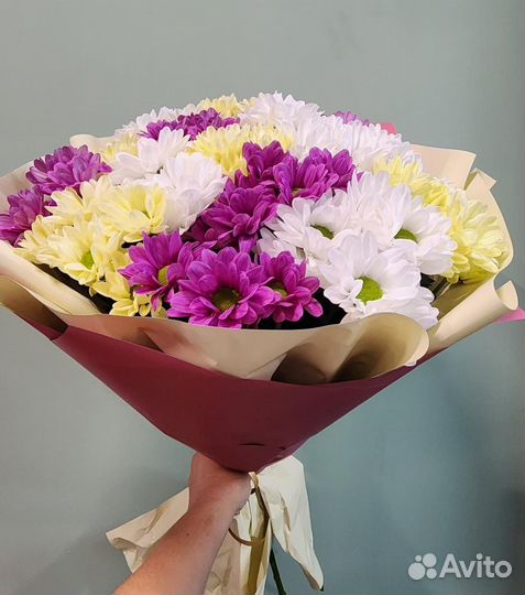 Цветы хризантемы, доставка