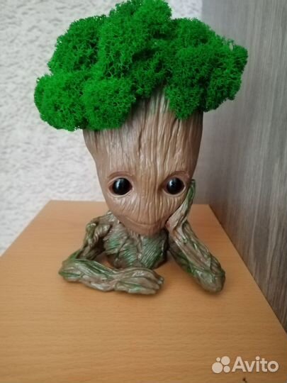 Ручная работы из стабилизированного мха