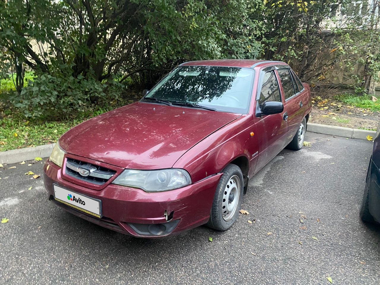 Daewoo Nexia: фото владельца