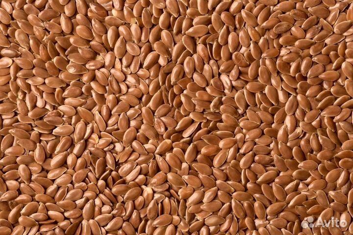 Семена льна пищевые оптом
