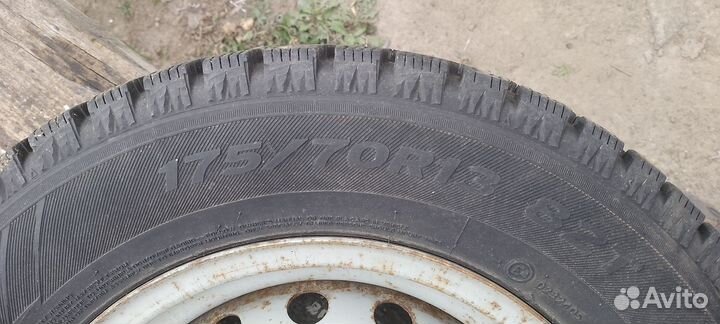 Продаю зимних рейзини