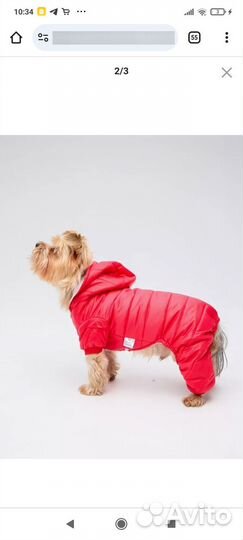Комбинезон демисезонный для собак