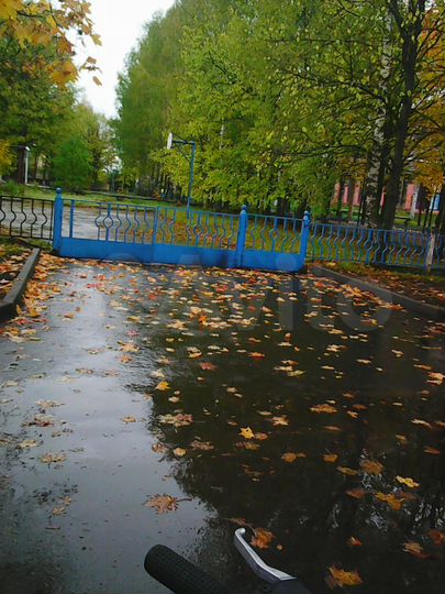 Участок 4,69 га (СНТ, ДНП)