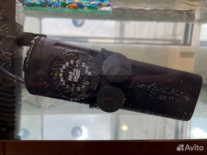 Аквариум акватерариум