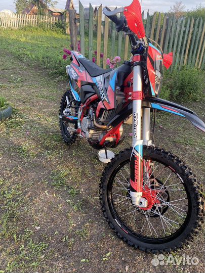 Прогасси Гауди 300