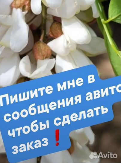 Чистейший мед Белой Акации