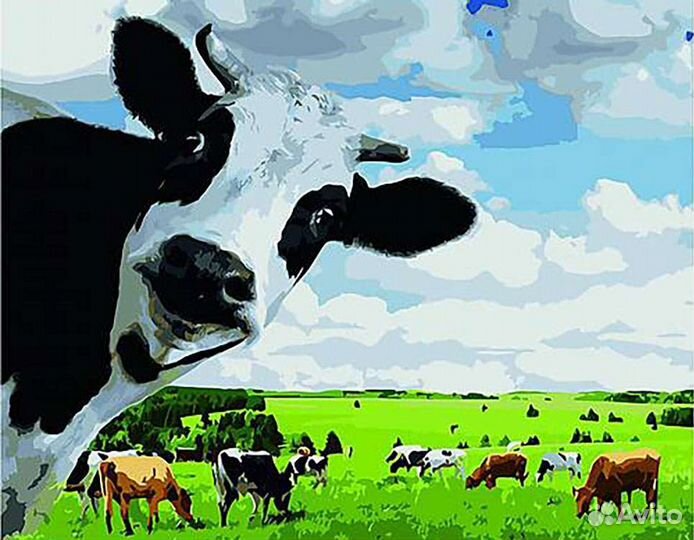 Коровий навоз доставка