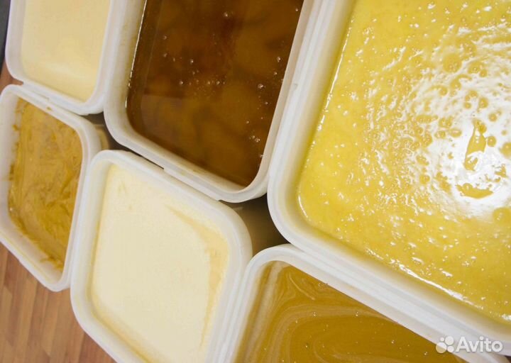 2024 Мед натуральный из Алтая оптом