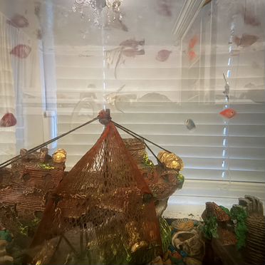 Аквариум с рыбками