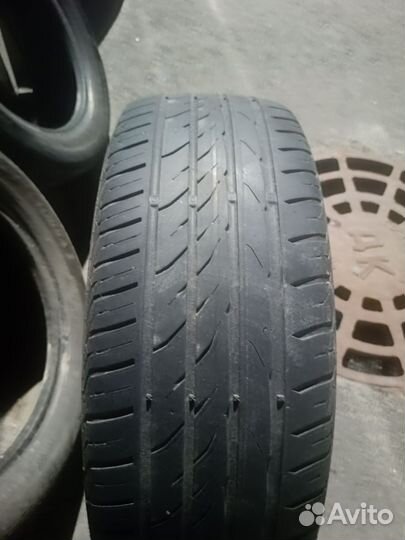 Matador Hectorra 5 195/55 R16