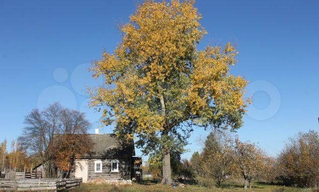 Дом 54 м² на участке 12 га