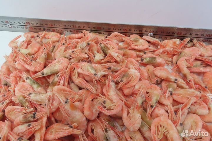 Креветка северная в/м РФ - 250+