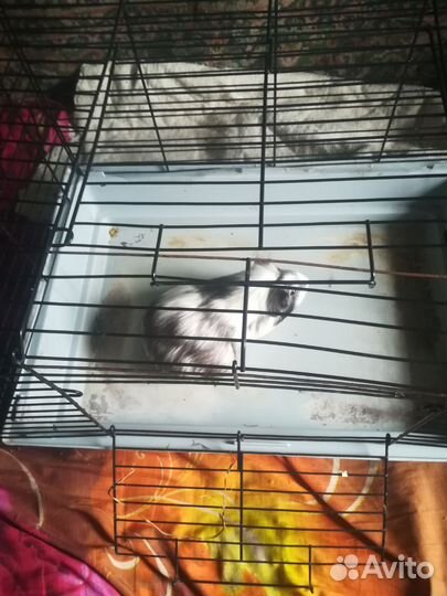 Клетка для грызунов