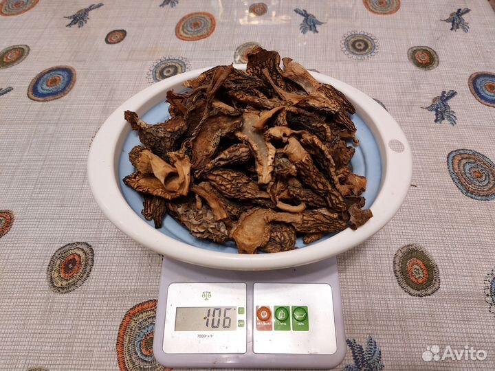 Сморчки сушеные грибы