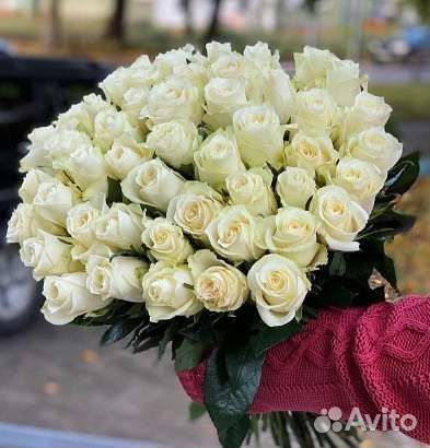 Розы, 101, 51, 25