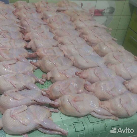 Мясо перепелов