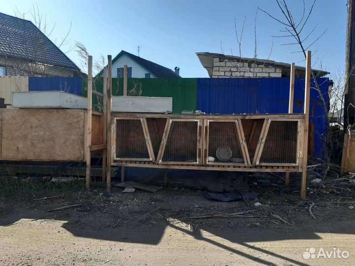 Клетки для кроликов