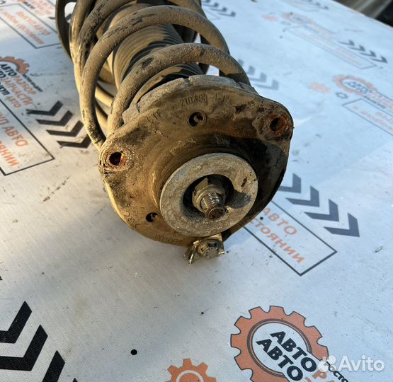 Стойка передняя правая Skoda Fabia